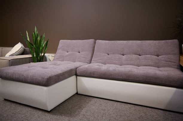 U-shaped sofa bed in a room with dark brown walls and a potted plant.