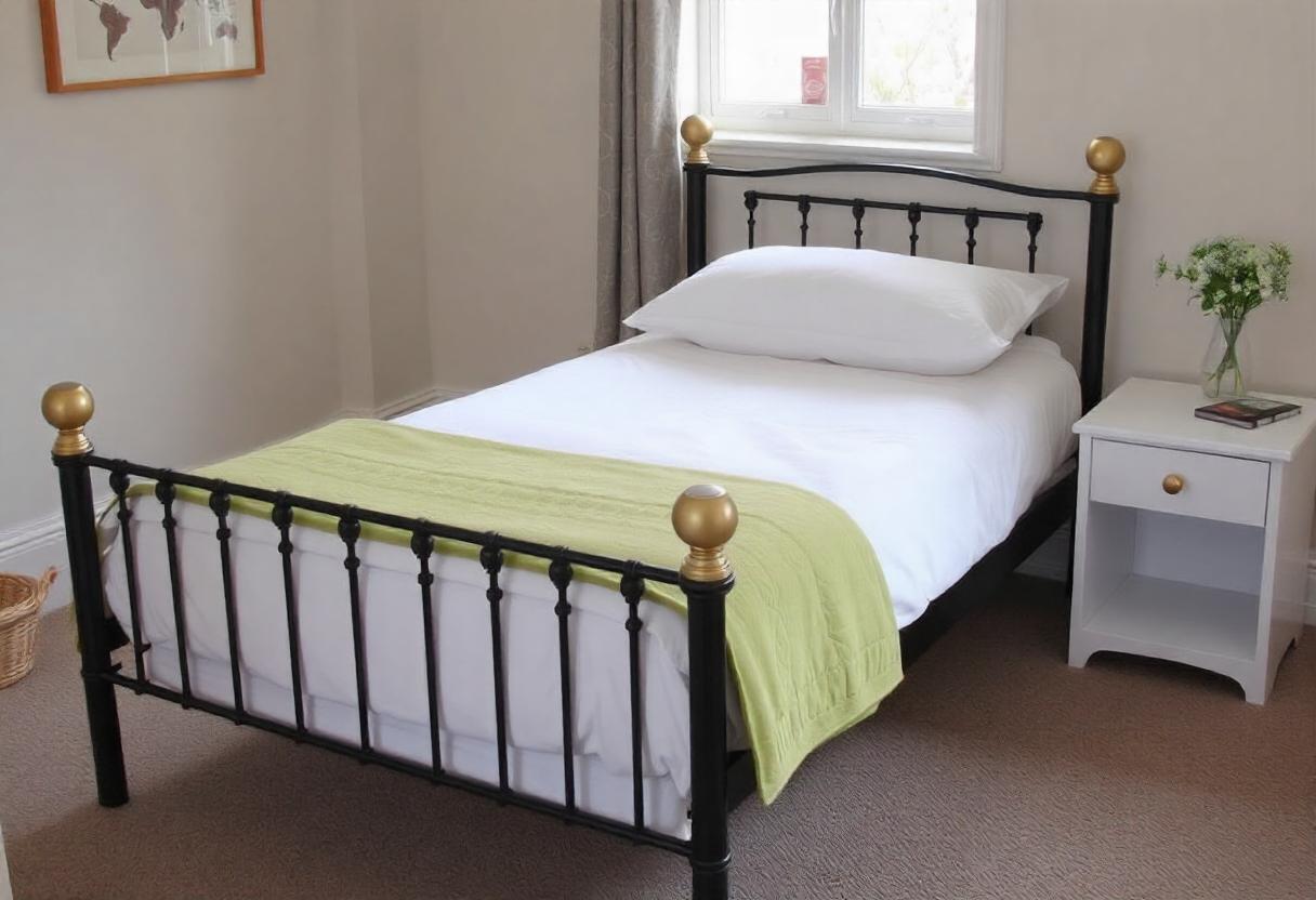 The image features a black bed frame with a white sheet, set in an indoor environment.